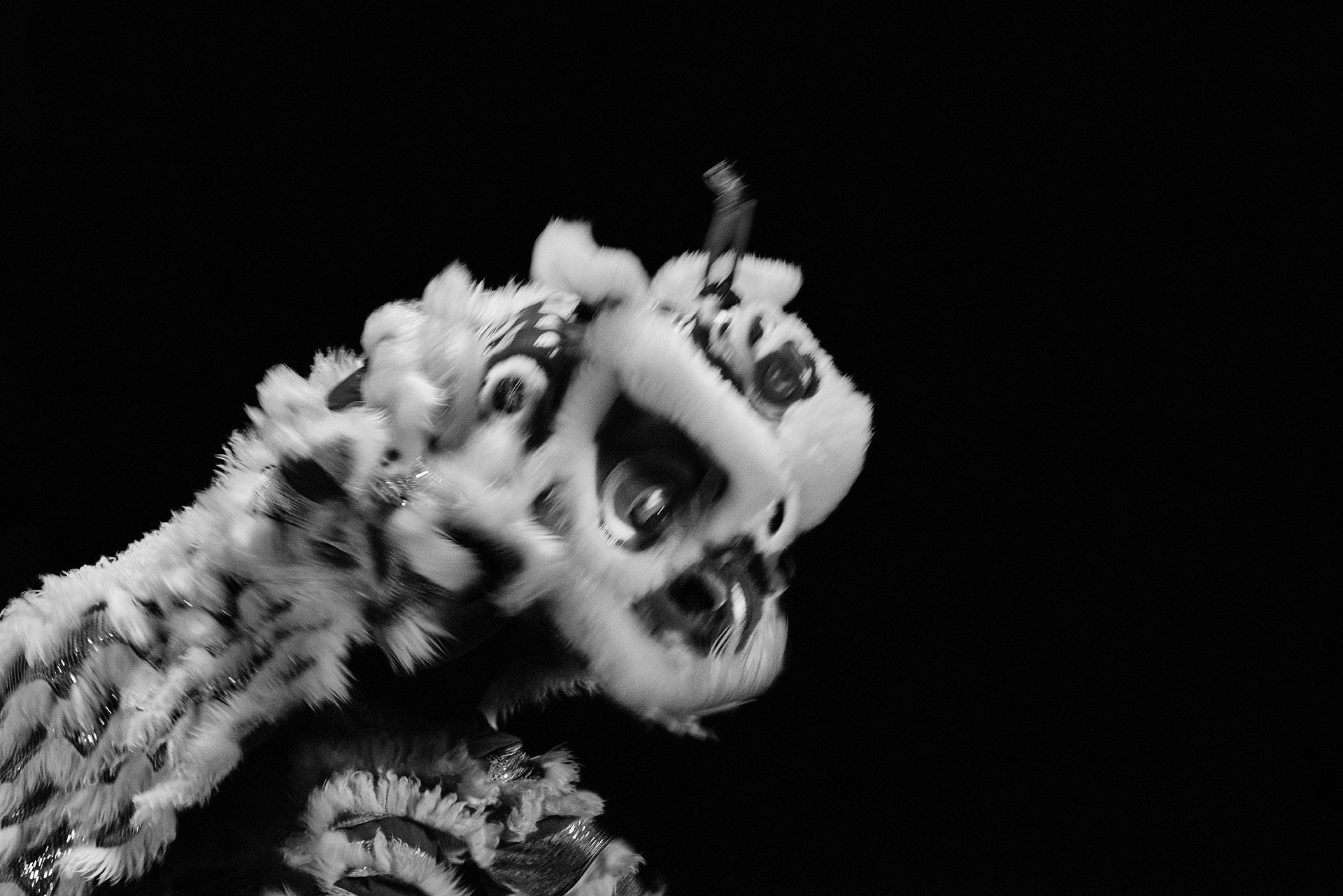 A chinese new year model