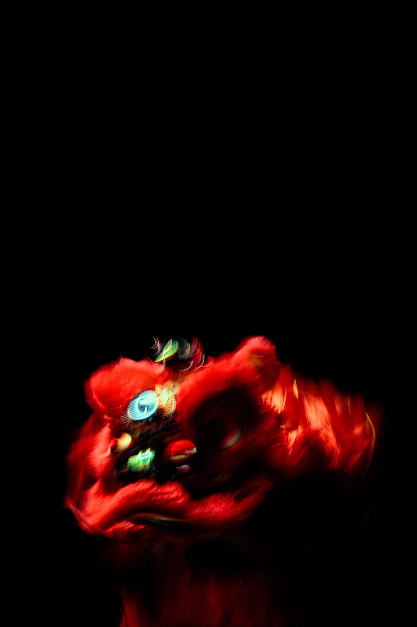 Close up image of LION