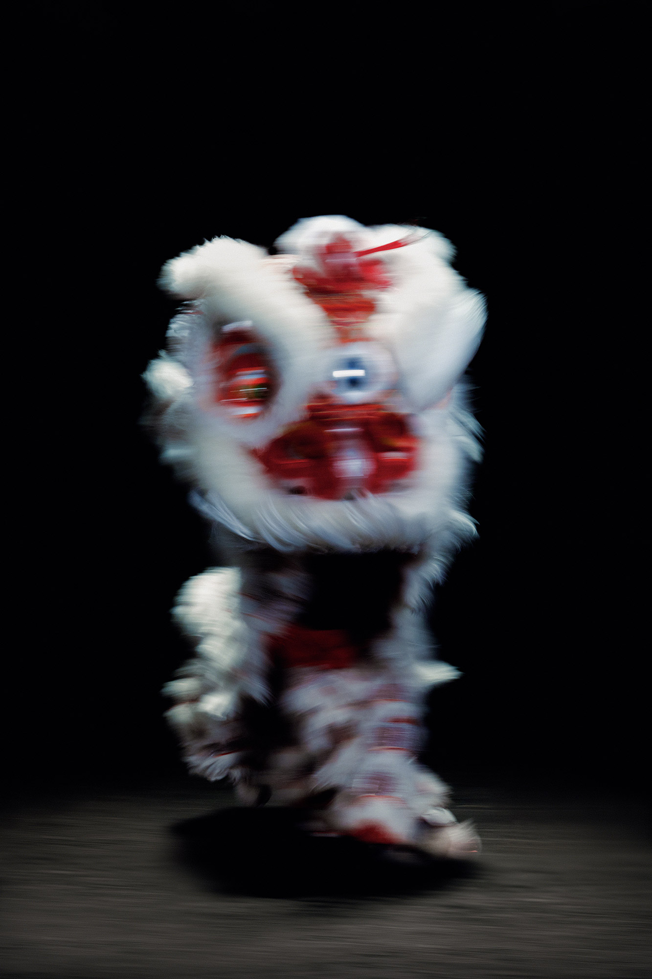 A close up image of LION