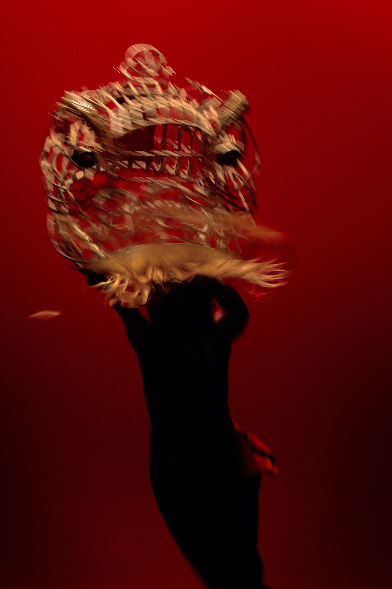 A human silhouette holding up a model of an animal skeleton