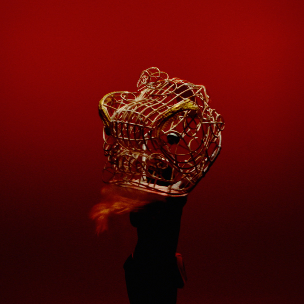 A skeleton of a lion head made out of wire